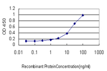 PRELID1 monoclonal antibody (M01), clone 7B4