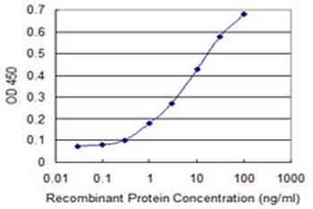 RNF11 monoclonal antibody (M01), clone 4G7