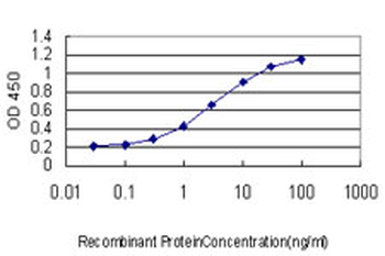 HEYL monoclonal antibody (M02), clone 4A11