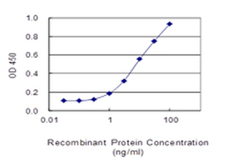 SERBP1 monoclonal antibody (M01), clone 1D2-2E9
