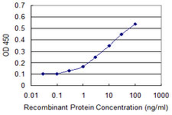 PRKD3 monoclonal antibody (M01), clone 4G7
