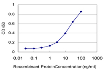 NUP62 monoclonal antibody (M02), clone 2D3