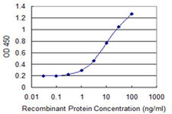CHST5 monoclonal antibody (M05), clone 2E6