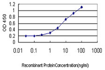 RBM9 monoclonal antibody (M01), clone 4G3