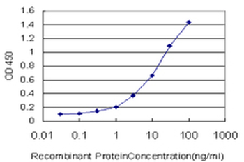 NNT monoclonal antibody (M01), clone 1D6