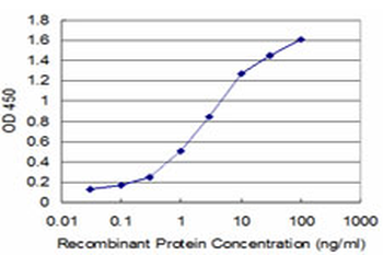 HEY1 monoclonal antibody (M02), clone 2F10