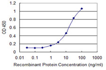 SLC7A8 monoclonal antibody (M01), clone 3F10