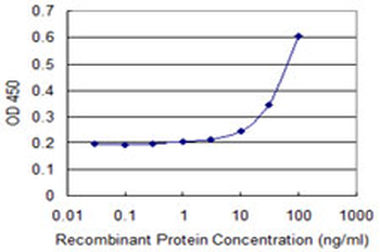 NMNAT2 monoclonal antibody (M04), clone 2G8