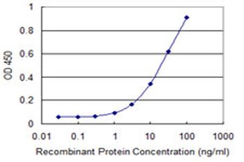 TNIK monoclonal antibody (M03), clone 3D4