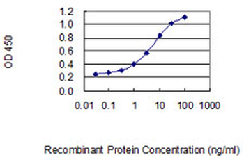 DKK1 monoclonal antibody (M11), clone 2A5