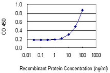 RRAS2 monoclonal antibody (M01), clone 2D3-4B8