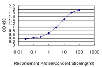 STK38 monoclonal antibody (M04), clone 2F3