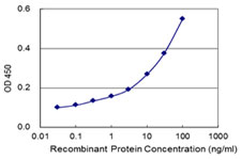 STK38 monoclonal antibody (M01), clone 2G8-1F3