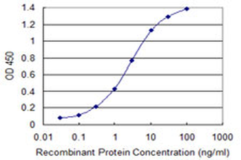 KLF8 monoclonal antibody (M12), clone 3F10