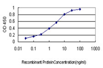 RNF139 monoclonal antibody (M01), clone 3D10