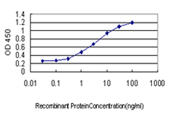 AKAP13 monoclonal antibody (M01), clone 5B7
