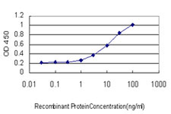 IL1RAPL1 monoclonal antibody (M04), clone 1C10