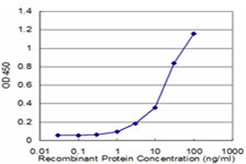 NUDT21 monoclonal antibody (M12), clone 3F8