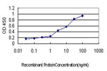 STIP1 monoclonal antibody (M01), clone 4B6