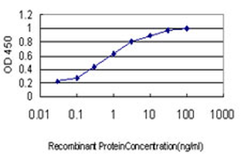 RALBP1 monoclonal antibody (M02), clone 2A1