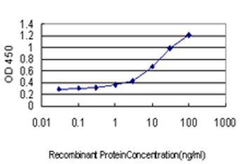 GADD45G monoclonal antibody (M01), clone 1D3