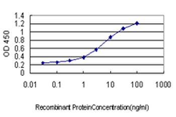 FGL2 monoclonal antibody (M01), clone 6D9