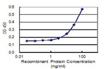 MTHFD2 monoclonal antibody (M01), clone 4G7-2G3