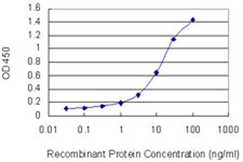 ZNF274 monoclonal antibody (M01), clone 4C12
