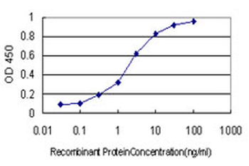 NUDC monoclonal antibody (M01), clone 5G12