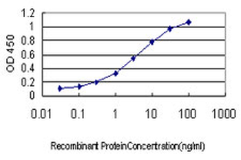 SCGN monoclonal antibody (M01), clone 2G7