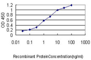 STK25 monoclonal antibody (M01), clone 1G6