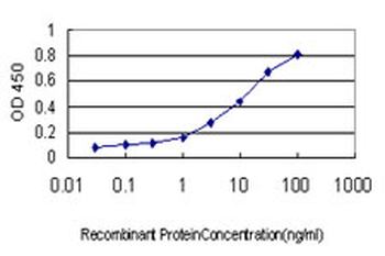 PGRMC2 monoclonal antibody (M04), clone 3C11