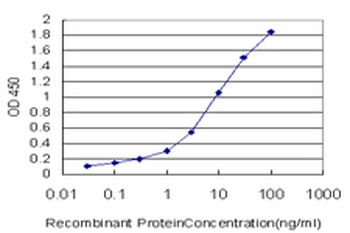 STX6 monoclonal antibody (M01), clone 1G2