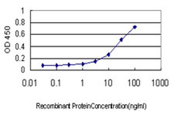 DNAJB6 monoclonal antibody (M01), clone 2C11-C1