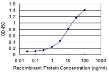 CCS monoclonal antibody (M03), clone 1E2