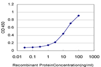 USP3 monoclonal antibody (M01), clone 1H2