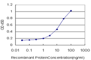 OXSR1 monoclonal antibody (M10), clone 3F6