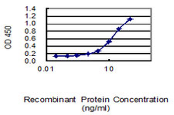 MFN2 monoclonal antibody (M01), clone 6A8