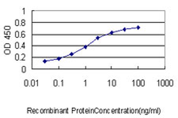 KIAA0101 monoclonal antibody (M01), clone 3C11-1F11