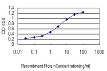 HERPUD1 monoclonal antibody (M04), clone 2G7