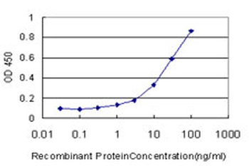 NR1D1 monoclonal antibody (M02), clone 4F6