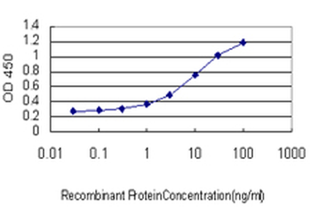 SEC22L1 monoclonal antibody (M01), clone 1E1