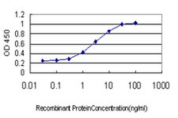 NRG2 monoclonal antibody (M01), clone 3D2