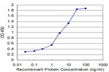 ARHGEF6 monoclonal antibody (M02), clone 2E5