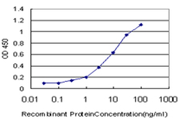 PDLIM7 monoclonal antibody (M01), clone 2D6