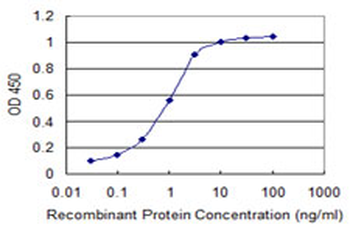 SLC33A1 monoclonal antibody (M07), clone 3A4