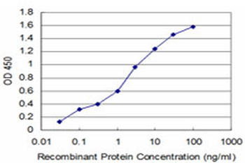 NMI monoclonal antibody (M04), clone 9E8
