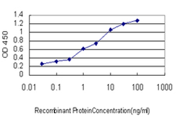 USP14 monoclonal antibody (M04), clone 6D6