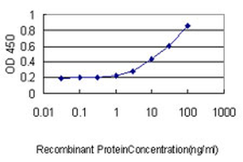 UBE2M monoclonal antibody (M01), clone 3C4