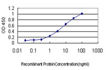 MTMR2 monoclonal antibody (M03), clone 4G6